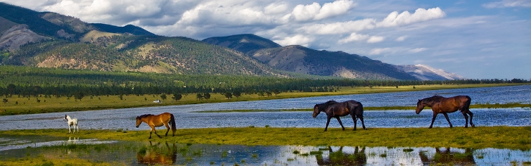 Баннер 3